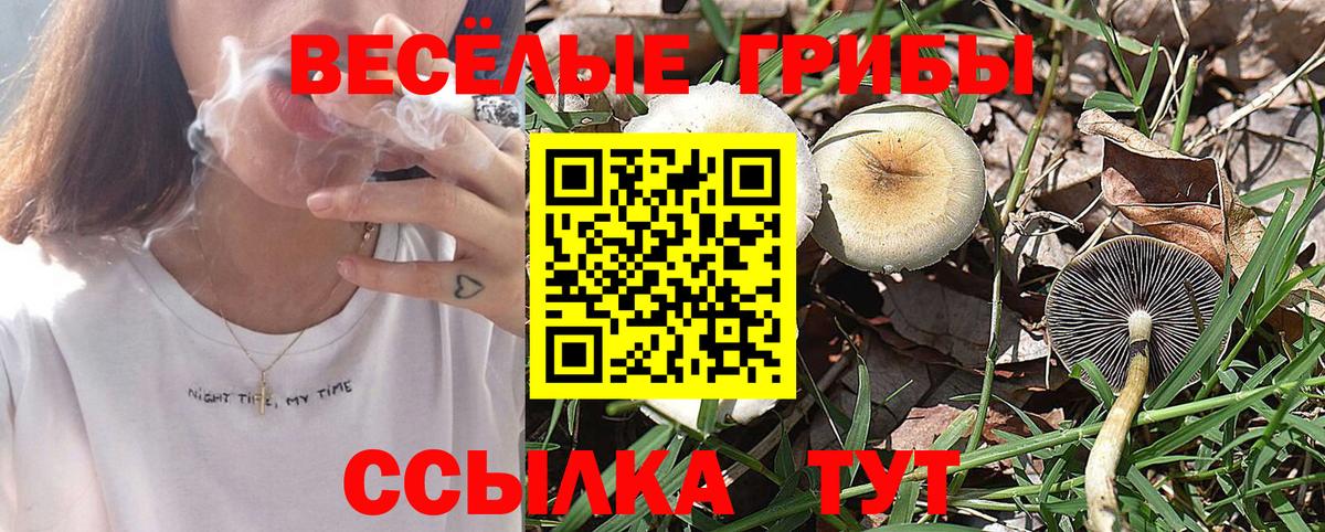 Псилоцибиновые грибы Cubensis  Галлюциногенные грибы Psilocybe  Вход с VPN  Вольск 