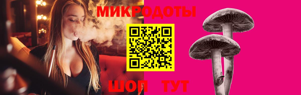 Псилоцибиновые грибы Psilocybe Вольск